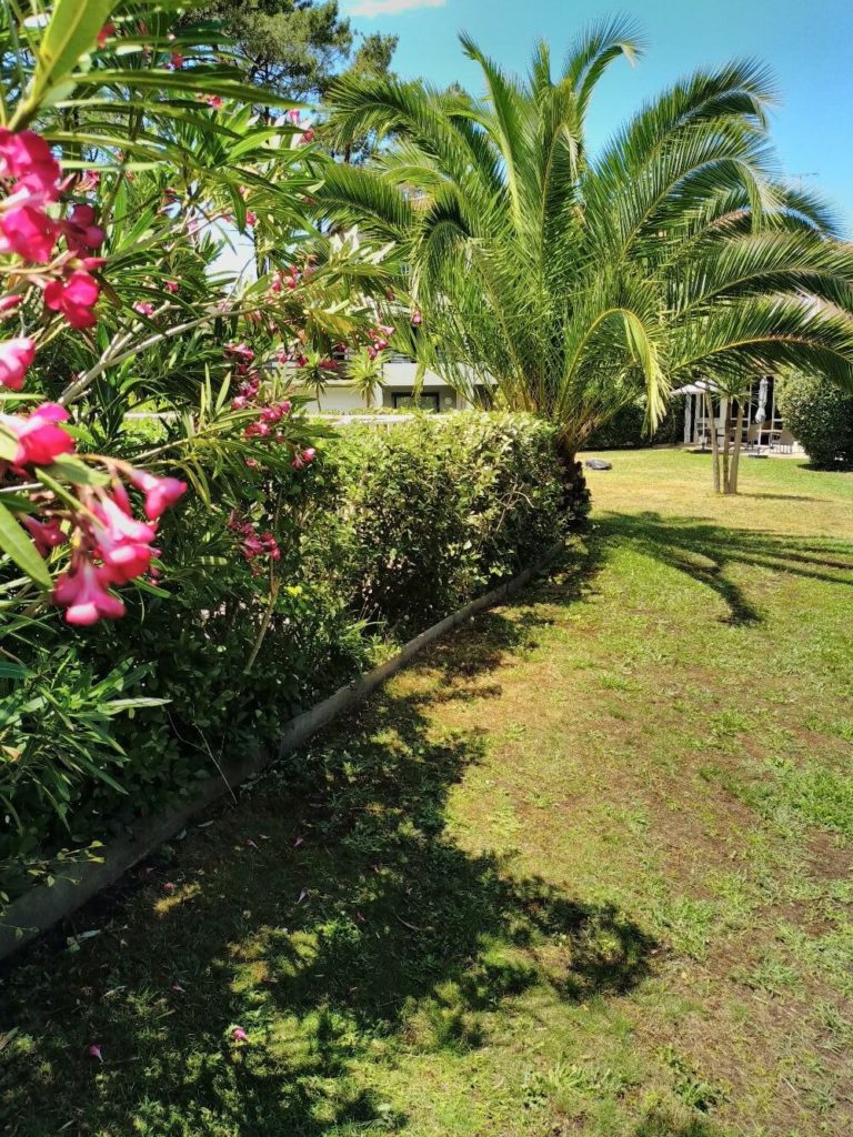 sallanne-entretien-10